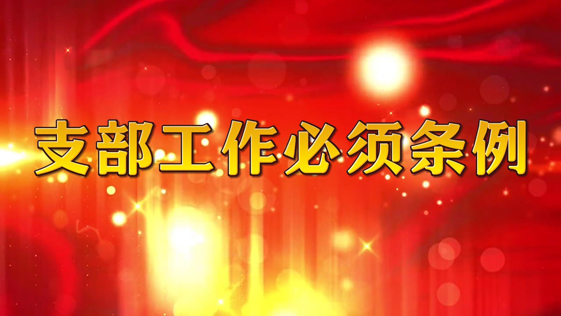 黨支部工作必須遵循的原則是什么